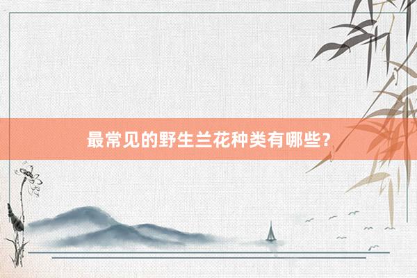 最常见的野生兰花种类有哪些？