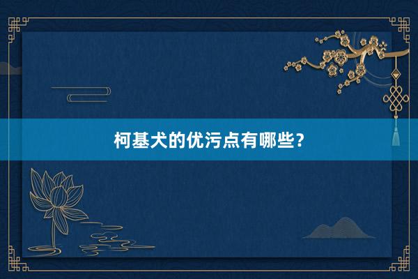 柯基犬的优污点有哪些？
