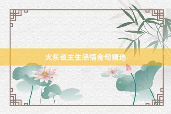 火东谈主生感悟金句精选